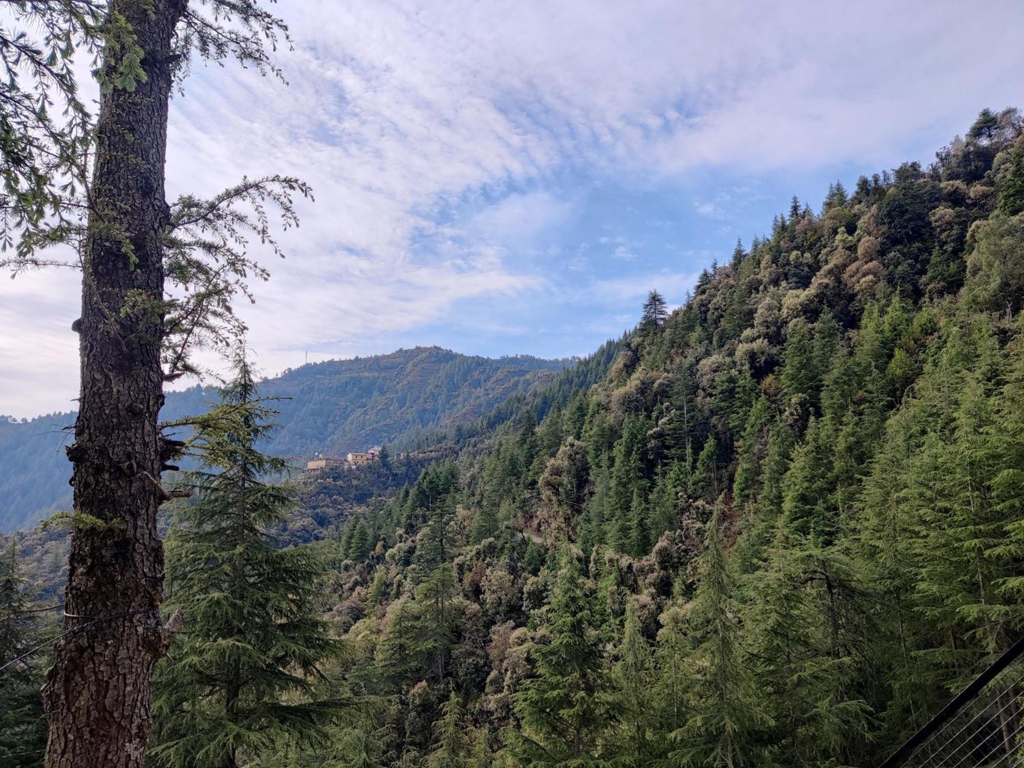 Ilika Resort Chakrata Bagian luar foto
