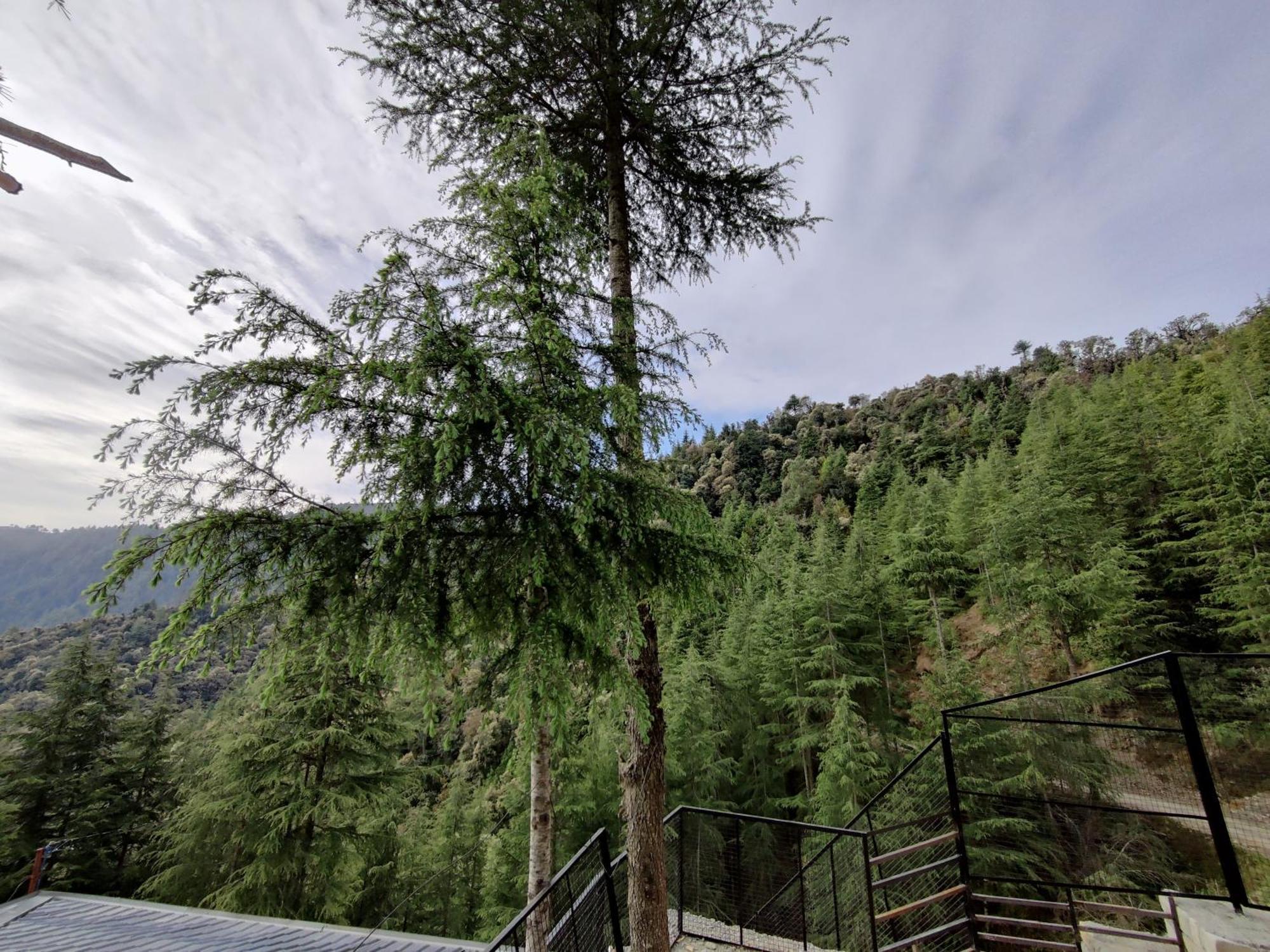 Ilika Resort Chakrata Bagian luar foto